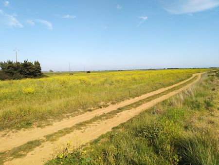 à louer terrain agricole de 7.2 ha