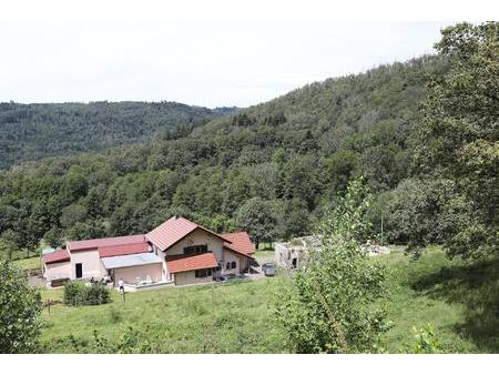 fantastique domaine de campagne avec 20 hectares de terrain