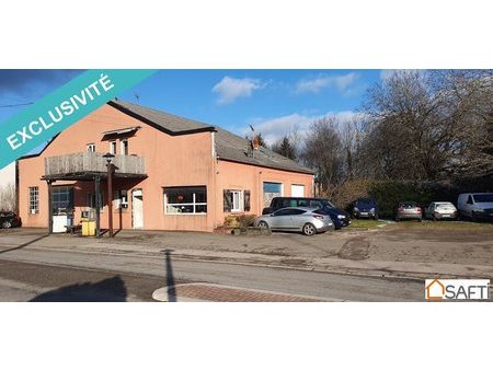 vente locaux professionnels 9 pièces 390 m²