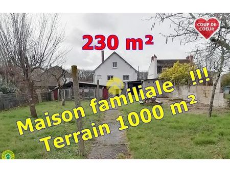 vente maison 7 pièces 230 m² vierzon (18100)