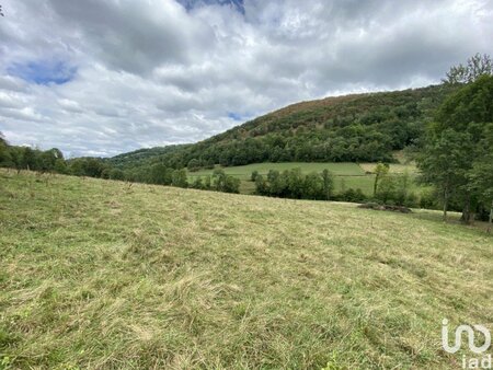 vente terrain de 4 332 m² à asque (65130)