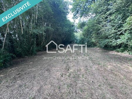 vente terrain 6116 m²