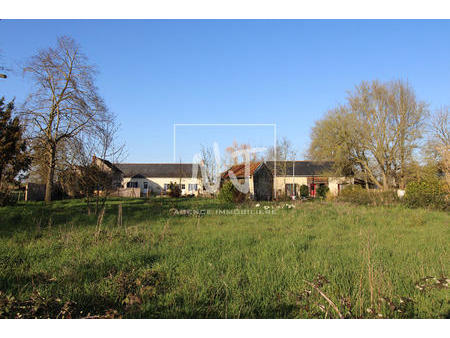 vente terrain à brissac-loire-aubance (49320) : à vendre / 1190m² brissac-loire-aubance