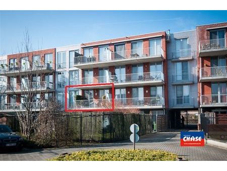 appartement te koop in hoboken met 2 slaapkamers