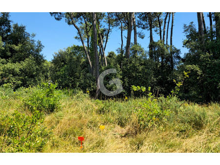 vente terrain 1187 m² jard-sur-mer (85520)