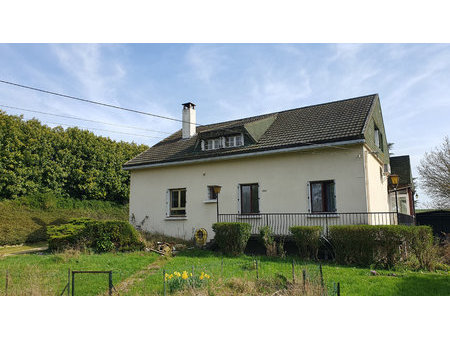 vaste pavillon traditionnel élevé sur sous sol. terrain clos de