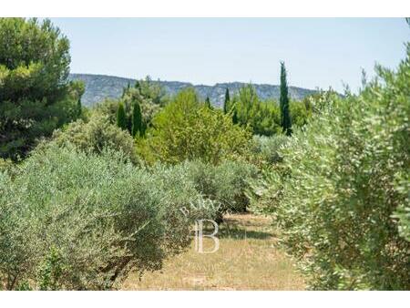 eygalieres - maison de charme- 4 chambres - belle vue alpilles