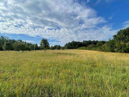 grand terrain constructible secteur calme