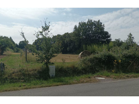 vente terrain 4810 m² saint-auvent (87310)