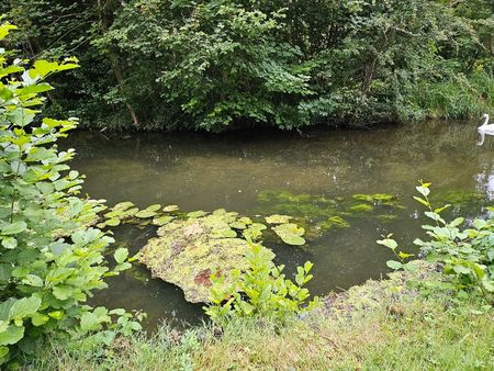 location emplacement pêche ou pic nic