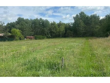 vente terrain 1000 m² bonzac (33910)