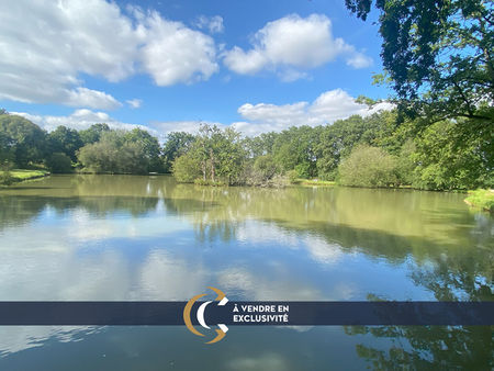 etang a vendre sur la commune de dinge