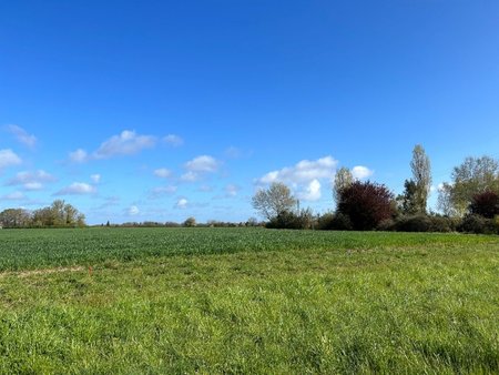 terrain à bâtir à semblançay (37360)