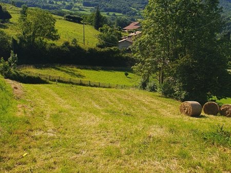 vente terrain de 1 141 m² à saint