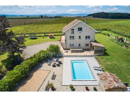 grande maison familiale - 9 pièces 223 m² - parcelle 3109 m² - cadre idyllique avec vue dé