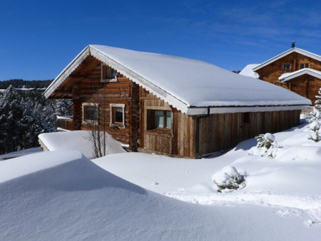 pyrenees 2000 - magnifique chalet en fustes