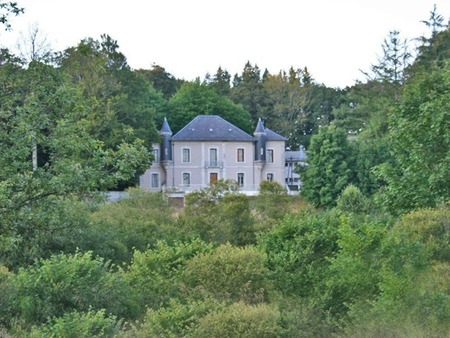 château à rénover à la salvetat-sur-agout