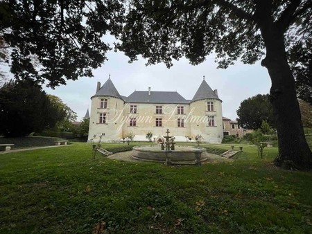 château à vendre à chasseneuil-du-poitou