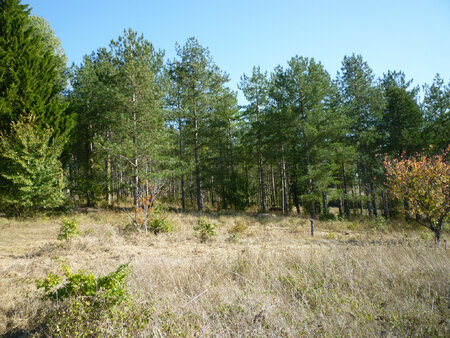 terrain de loisirs