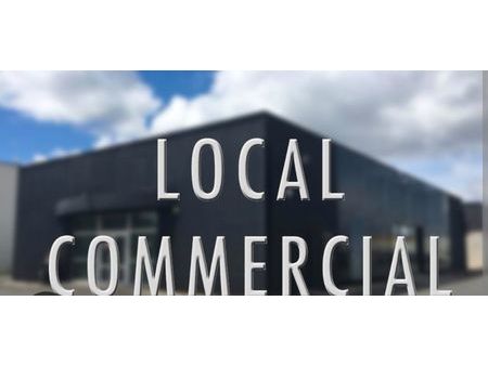 recherche local commercial