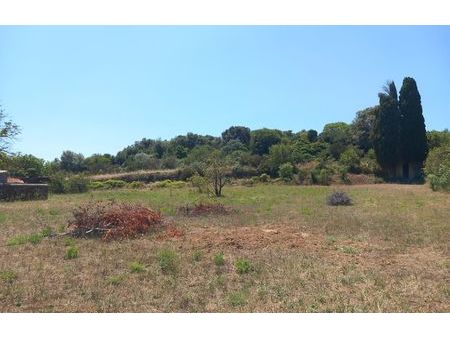 vente terrain 1895 m² pézenas (34120)