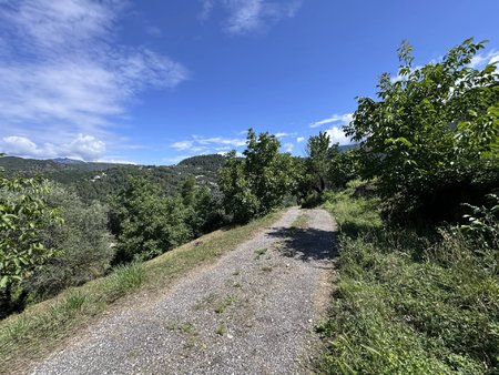 saint-blaise - terrain constructible avec partie oliveraie et boisée