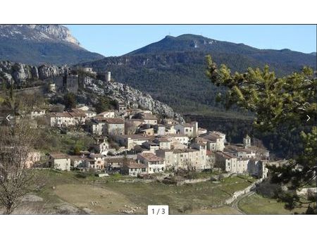 terrain trigance (var 83) : forêt > 4 hectares