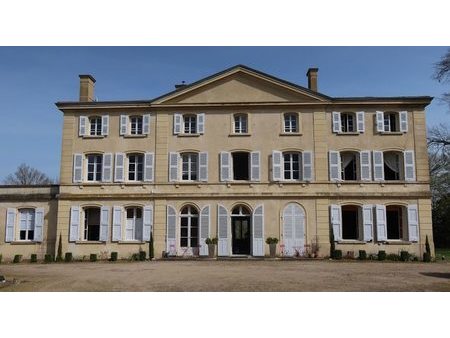 vente château