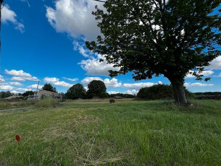 à saisir bois « terrain constructible » 1500 m2 20.000 euros