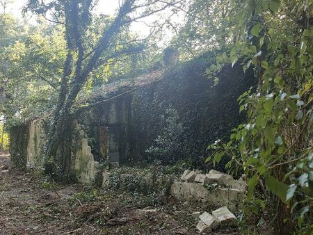 terrains agricoles et bâtis maison en ruine ■les terrains ont été yé l'an dernier.■arborés