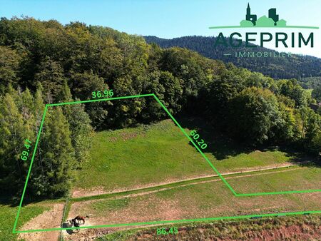 terrain 2770 m² saint die des vosges