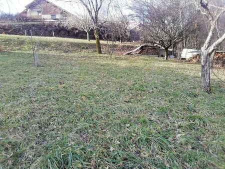 vends terrain constructible de 827 m2 à saint pancrace