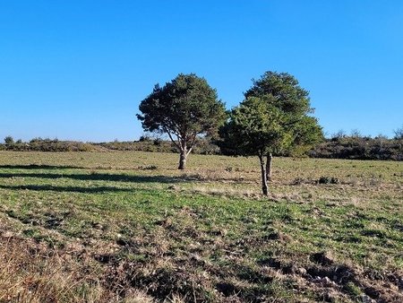 terrain à bâtir à saint-estève (66240)