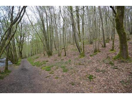 terrain à vente  aux 500 bonniers oignies-en-thiérache 5670 belgique