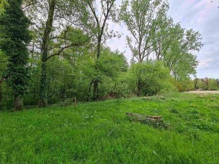 terrain à vendre à eksel € 16.900 (ktgdb) - engel & volkers noord-limburg | zimmo