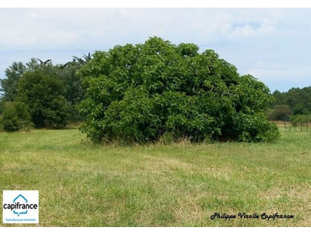 a vendre terrain constructible 1403 m² à dolus d'oleron | capifrance