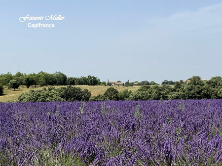 a vendre domaine 476 m² à valensole | capifrance