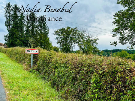 a vendre terrain constructible 4630 m² à maizilly | capifrance