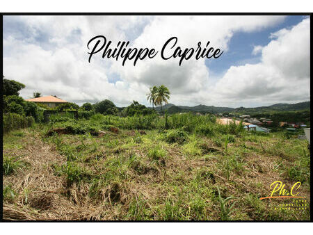 a vendre terrain constructible 2931 m² à saint esprit | capifrance