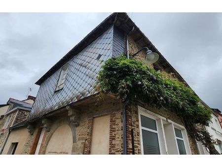 vente immeuble 360 m² châteaubriant (44110)