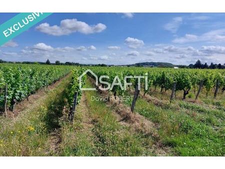 vente terrain 9432 m² crouzilles (37220)