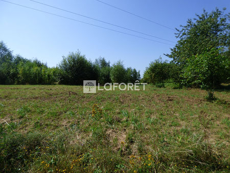 terrain saint amour 3900 m2