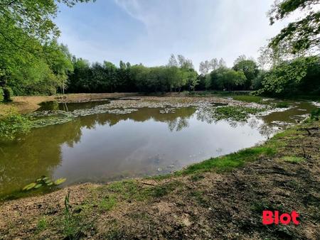 vente terrain à langouet (35630) : à vendre / 6142m² langouet