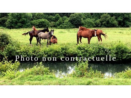 ferme sur un hectare avec box et carrière