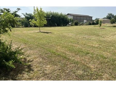 vente terrain 1300 m² castelsarrasin (82100)