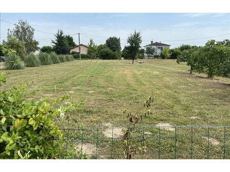 vente terrain 1500 m² castelsarrasin (82100)