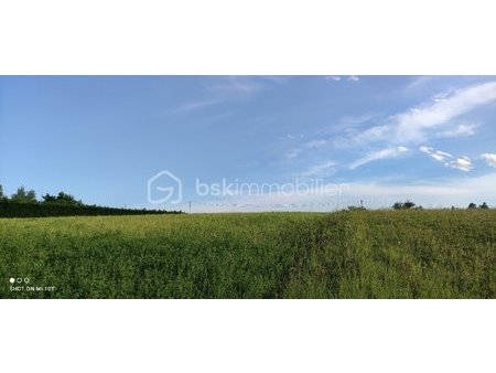 vends terrain constructible et viabilisé de 6900 m2 divisible  proche villemur-sur-tarn