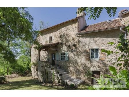 vente maison castanet (82160)