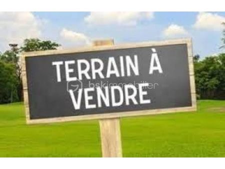 vente terrain 1000 m²