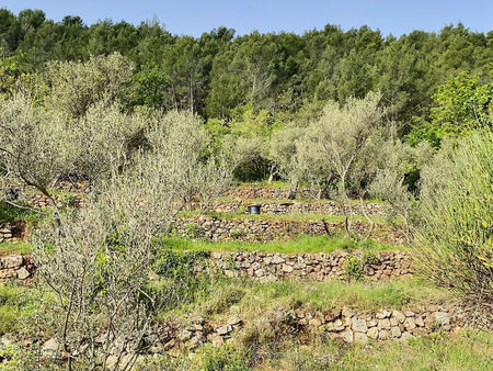 sollies ville - beau terrain à bâtir